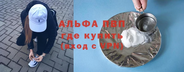 молекула духа Арсеньев