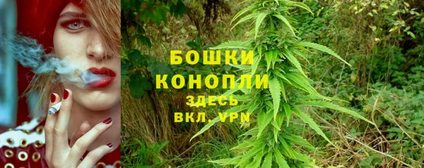 молекула духа Арсеньев
