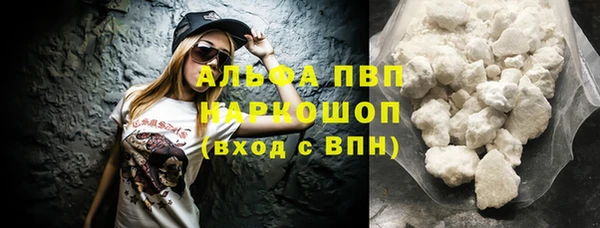молекула духа Арсеньев
